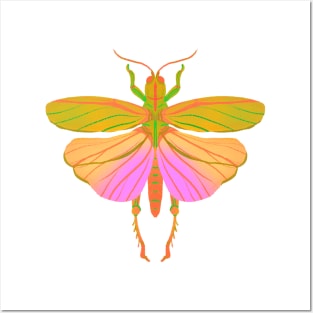 Aesthetic Bug Art Posters and Art